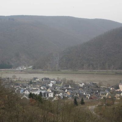 IMG_3595
