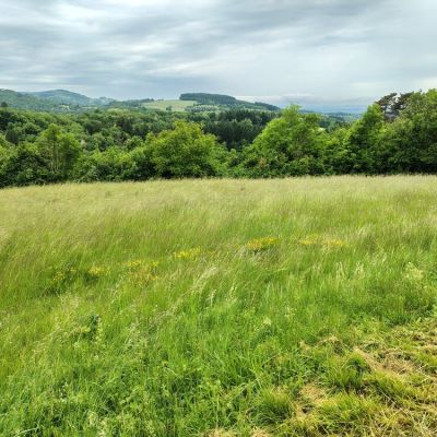 IMG_20250520_103559263_HDR