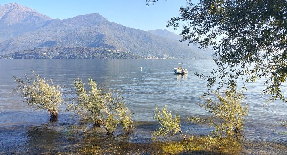 IMG_20250919_170545300_HDR