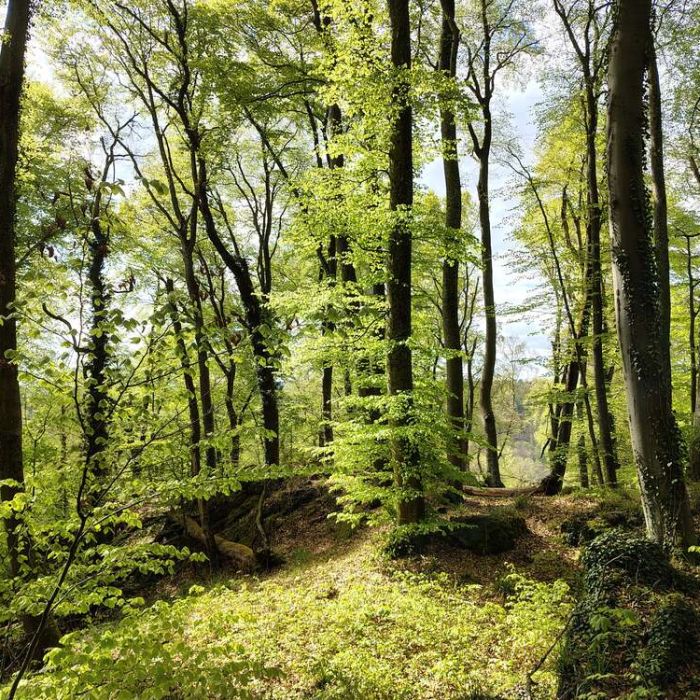 G.H. Luxemburg – 20/04/2026
